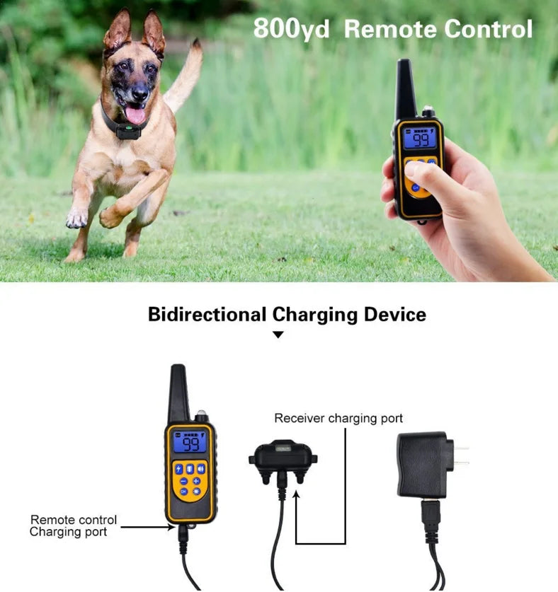 Rechargeable Waterproof Dog Training Collar with Remote