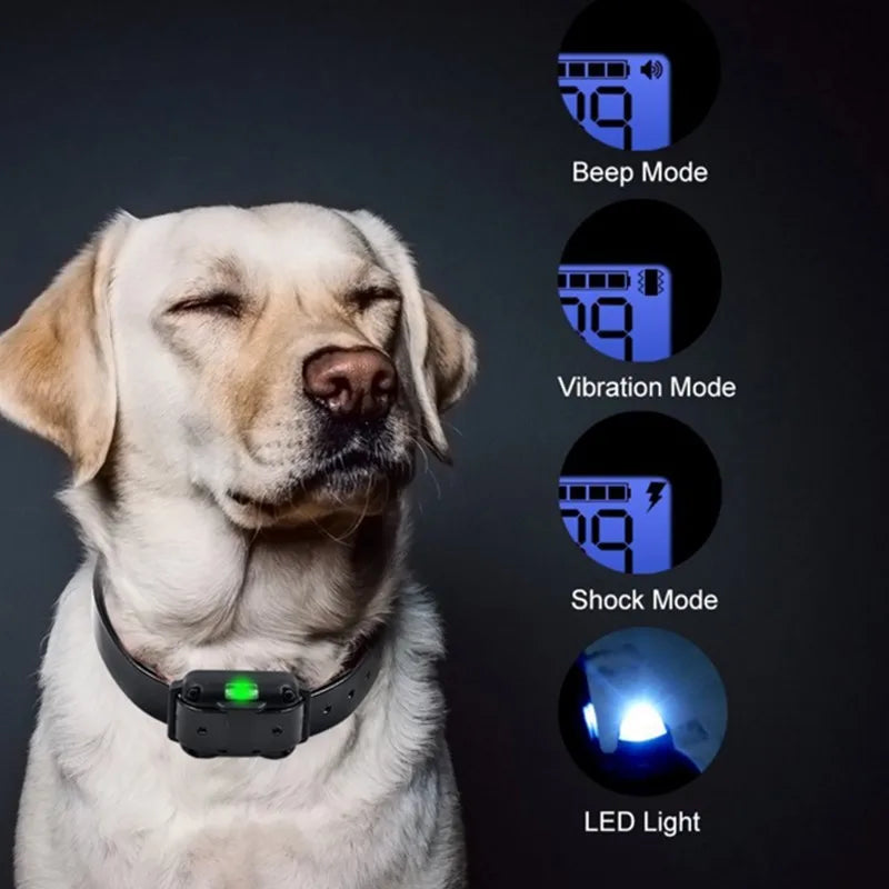 Rechargeable Waterproof Dog Training Collar with Remote