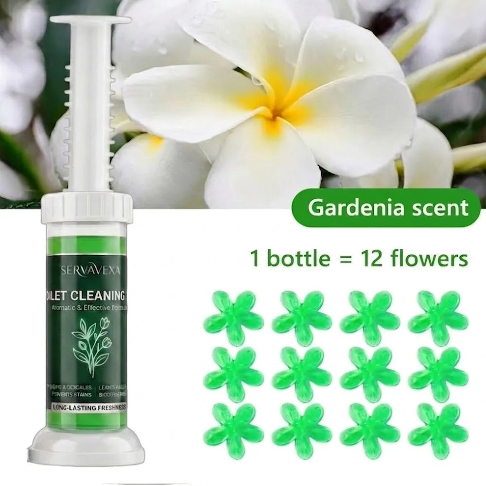 5Pcs Toilet Cleaning Gel Kit