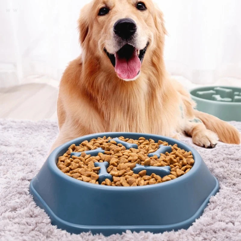 Slow Feeder Dog Bowl – Anti-Gulping Food Bowl