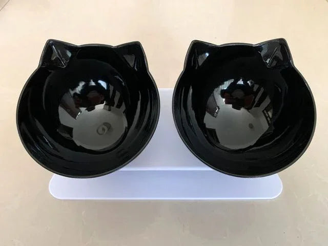 Elevated Cat Food & Water Bowl Set