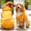 Reversible Plaid Winter Dog Coat