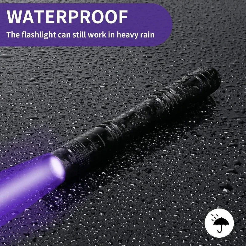 Ultraviolet Flashlight