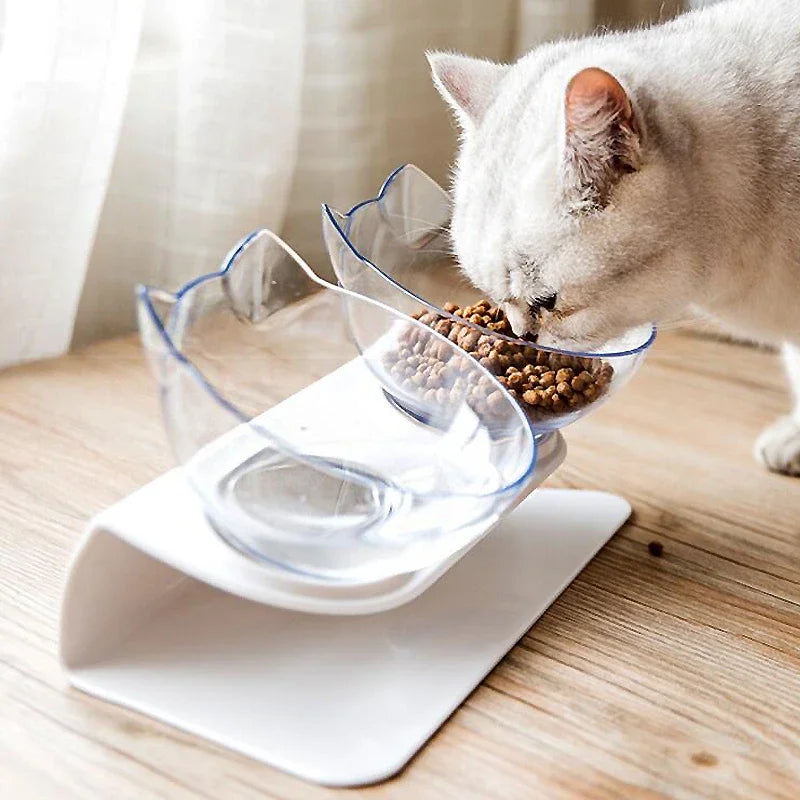 Elevated Cat Food & Water Bowl Set