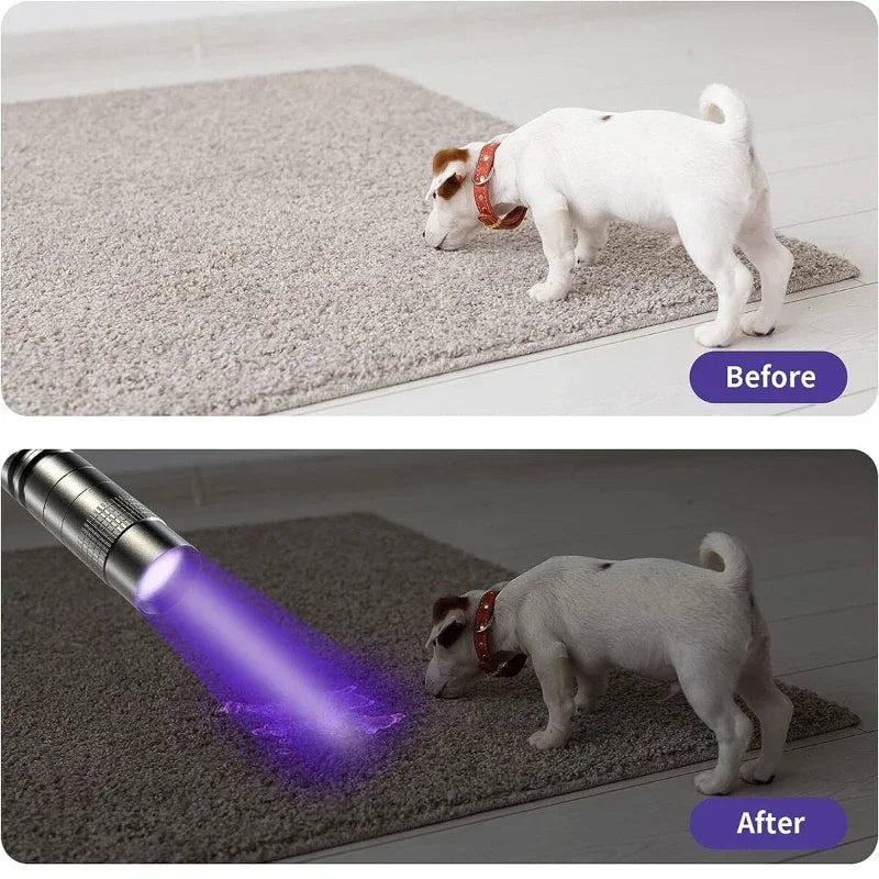 Ultraviolet Flashlight