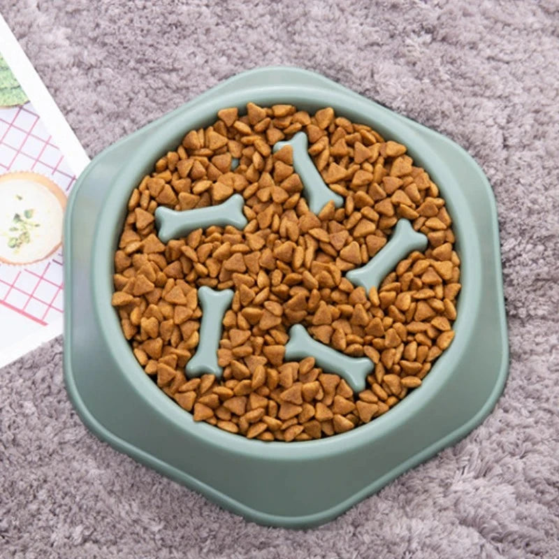 Slow Feeder Dog Bowl – Anti-Gulping Food Bowl