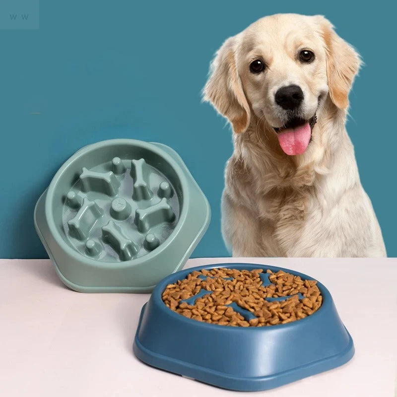 Slow Feeder Dog Bowl – Anti-Gulping Food Bowl